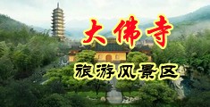 嗯哈大鸡操我gv在线免费看中国浙江-新昌大佛寺旅游风景区